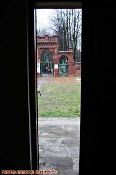 IMG_ (10124)